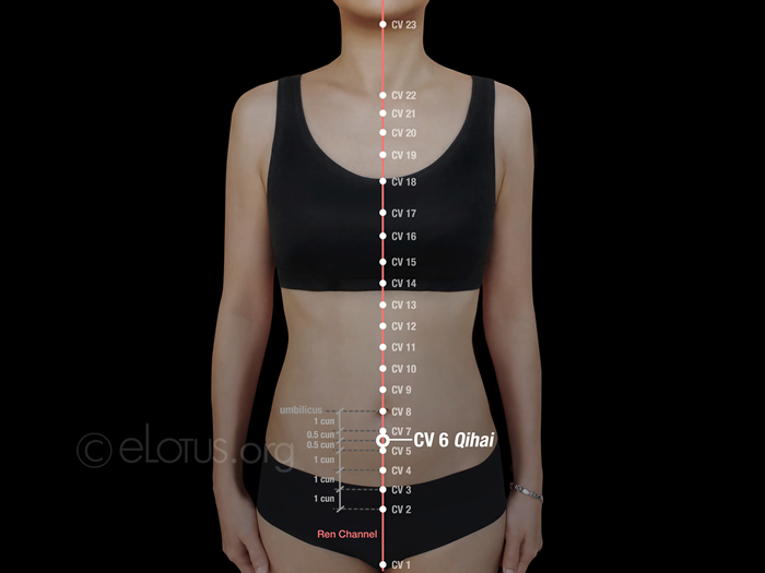Qihai (CV 6) Master Tung's Acupuncture eLotus CORE